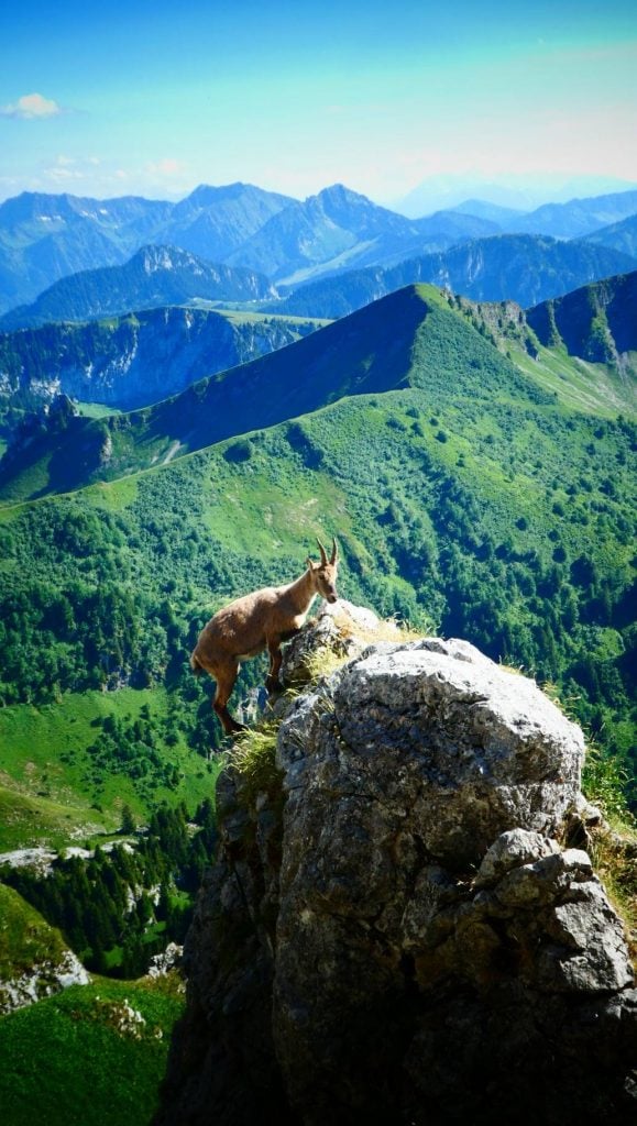 Photo Competition winner – 2019